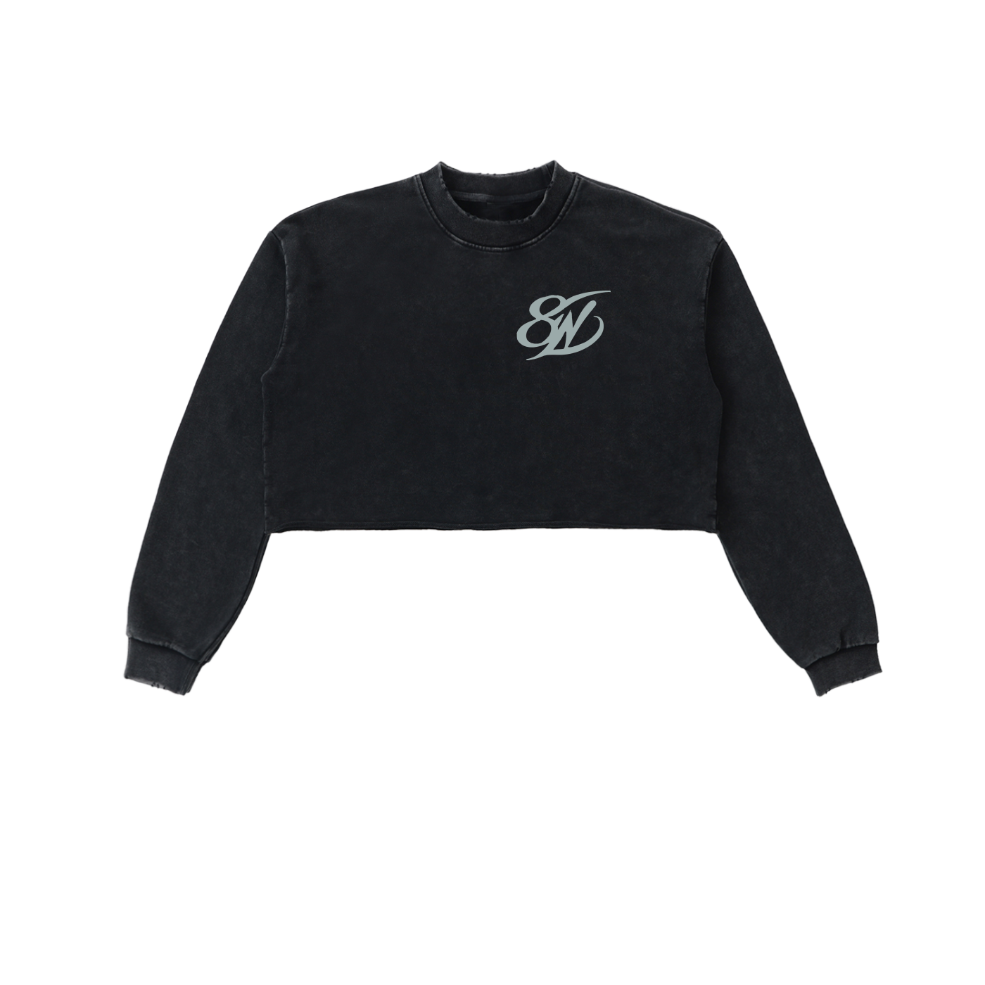 Snow Washed Raw Edge Cropped Sweatshirt
